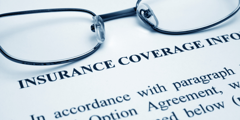 Common pet insurance exclusions