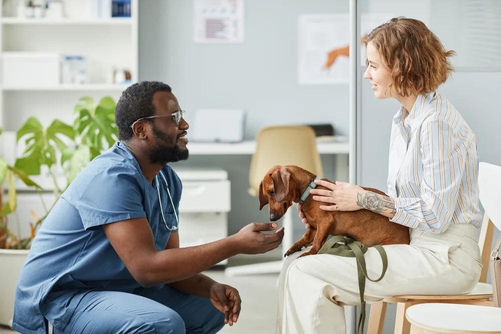 Accident & illness pet insurance