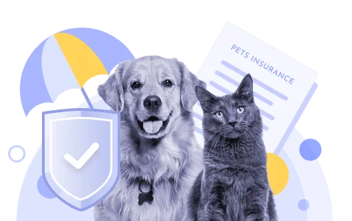 How does pet insurance work